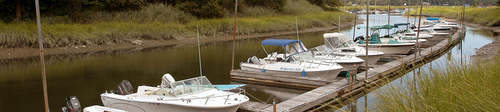 Nissequogue River State Park