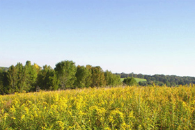 Goosepond Mountain State Park