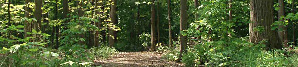 DeVeaux Woods State Park