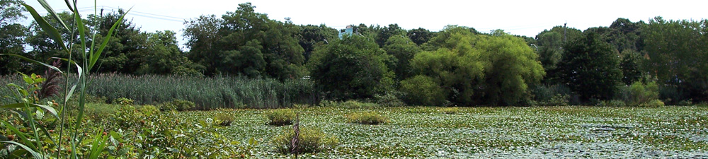 Clay Pit Ponds State Park Preserve