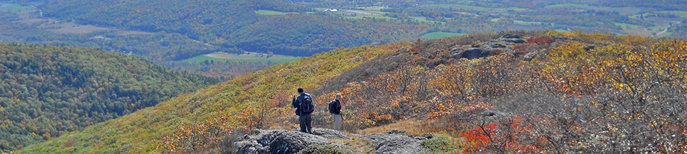 Taconic State Park - Rudd Pond Area