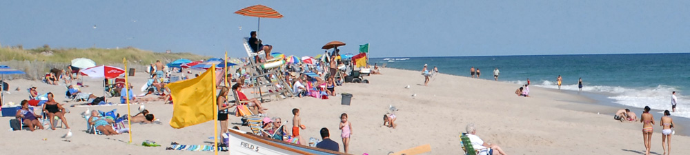 Robert Moses State Park - Long Island