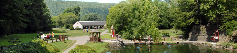 Fillmore Glen State Park