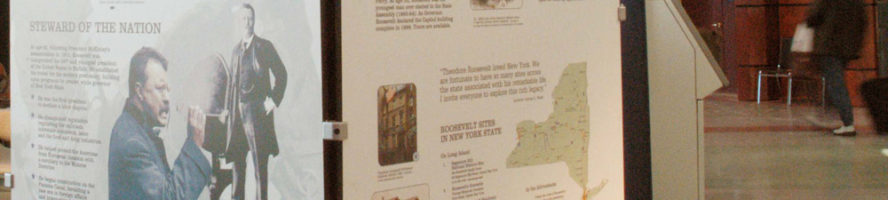 Theodore Roosevelt Display